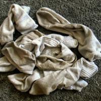 Ballsniffer