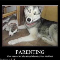 subslaveboy