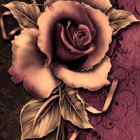Magnolia79