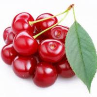 William Bailey
