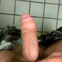 Jay