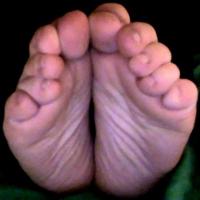 GustLer