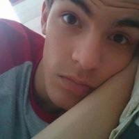 wilsam