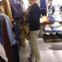 faglooser