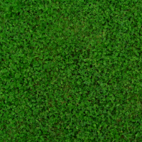 John
