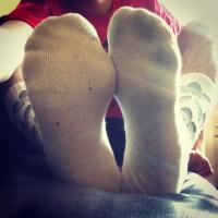 sox7290