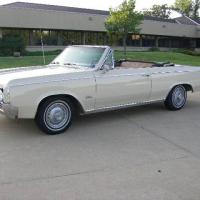 weasel