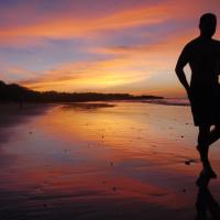Otter4u
