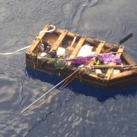 msd243