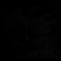WannaSubmit
