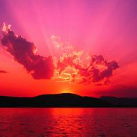RicHard$$$