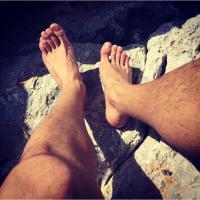 Avitaria