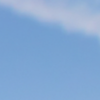 guste