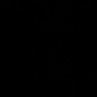 Guillermo rossi