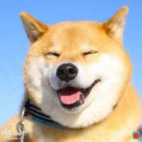 jwgda