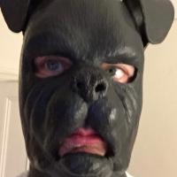 Londonpup