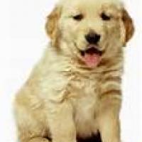 eduard