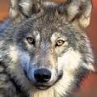 nws02873