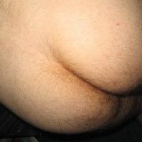 urinallicker