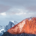 Master MinkFuck