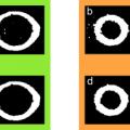 zettel123