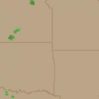 Youngncharge’s Cum Whore