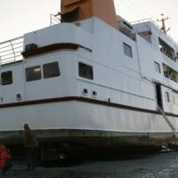 Napola1234