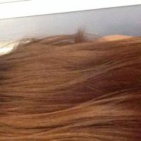 genie