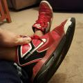 Theedude811