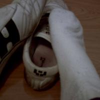 loik