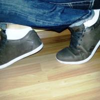 quasar