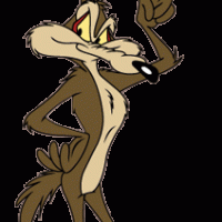 Coyote