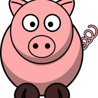 stm1976