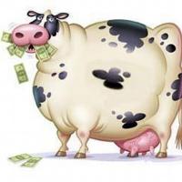 intoxslave