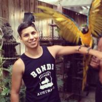 knuckless