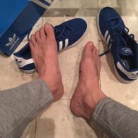 King Paul's Property