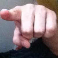 IdiotDog