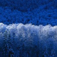 FOOTLICKER100